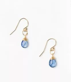 Karen Kane Kyanite Pendant Earrings
