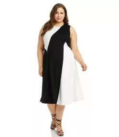 Karen Kane Plus Size Sleeveless Colorblock Dress